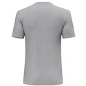 Herren T-Shirt Salewa  Solidlogo Dri-Release Heather Grey