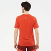 Herren T-Shirt Salomon Cross Run SS Tee Fiery Red