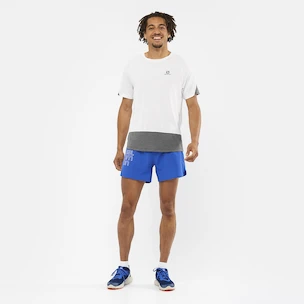 Herren T-Shirt Salomon Cross Run SS Tee White/Black