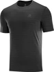Herren T-Shirt Salomon XA Tee Black