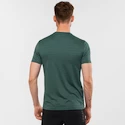 Herren T-Shirt Salomon XA Tee Green