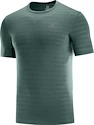 Herren T-Shirt Salomon XA Tee Green