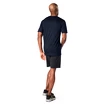 Herren T-Shirt Smartwool  M Merino 150 Baselayer SS BXD
