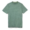 Herren T-Shirt Smartwool  Merino Sport 120 Mountain Biking Sage Heather