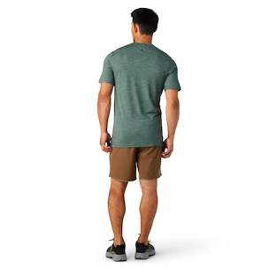 Herren T-Shirt Smartwool  Merino Sport 120 Mountain Biking Sage Heather