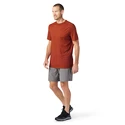 Herren T-Shirt Smartwool  Merino Sport 150 Tech Tee Picante