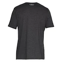 Herren T-Shirt Under Armour  BIG LOGO SS-GRY