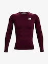 Herren T-Shirt Under Armour HeatGear Comp LS