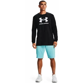 Herren T-Shirt Under Armour SPORTSTYLE LOGO LS-BLK