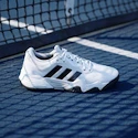 Herren Tennisschuhe adidas Solematch Control 2 Cloud White