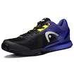 Herren Tennisschuhe Head Sprint Pro 3.0 Ltd. Clay Purple/Lime