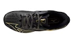 Herren Tennisschuhe Mizuno Wave Exceed TOUR 6 CC 10th Iron Gate/Gold/Black