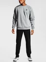 Herren Trainingshose Under Armour