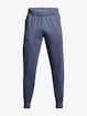 Herren Trainingshose Under Armour