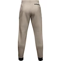 Herren Trainingshose Under Armour