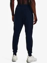 Herren Trainingshose Under Armour  Rival Flc WM Jogger-NVY