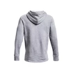 Herren Under Armour EMBIID SIGNATURE HOODY grau