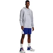 Herren Under Armour EMBIID SIGNATURE HOODY grau