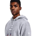 Herren Under Armour EMBIID SIGNATURE HOODY grau