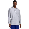 Herren Under Armour EMBIID SIGNATURE HOODY grau