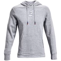 Herren Under Armour EMBIID SIGNATURE HOODY grau