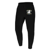 Herrenhose 47 Brand  NHL Anaheim Ducks Imprint ’47 BURNSIDE Pants