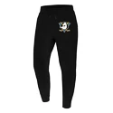 Herrenhose 47 Brand  NHL Anaheim Ducks Imprint ’47 BURNSIDE Pants