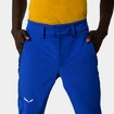 Herrenhose Salewa  Agner Orval 3 DST M Reg Pants