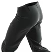 Herrenhose Salomon  M Wayfarer Pants Black