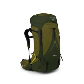 Herrenrucksack OSPREY ATMOS AG LT 65 scenic valley/green peppercorn