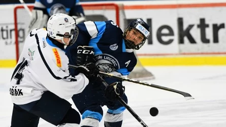 Wie den richtigen Hockeyschläger für Ihr Kind auswählen und wie ihn kürzen