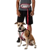 Jogginggürtel Nathan  K9 Series Runner's Waistpack With Leash