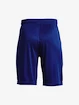 Jungen Shorts Under Armour