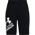 Jungen Shorts Under Armour  Prototype 2.0 Logo Shorts black S