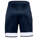Jungen Shorts Under Armour Y Challenger III Knit Short dunkelblau