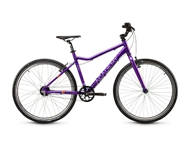 Kinder Fahrrad Academy Grade 6 Belt - 26" Purple