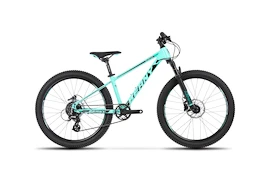 Kinder Fahrrad Beany Blaster 20 Mint
