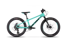 Kinder Fahrrad Beany Blaster XC 20 Mint
