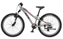 Kinder Fahrrad GT  Stomper 24 Prime Silver 2021