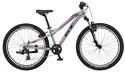 Kinder Fahrrad GT  Stomper 24 Prime Silver 2021