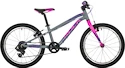 Kinder Fahrrad Rock Machine 20 Thunder grey