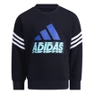Kinder Hoodie adidas