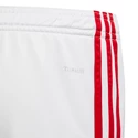 Kinder Shorts adidas