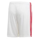 Kinder Shorts adidas