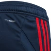 Kinder Shorts adidas