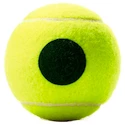 Kinder-Tennisbälle Wilson Roland Garros Green (4 St.)