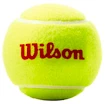 Kinder-Tennisbälle Wilson Roland Garros Orange (3 St.)