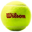Kinder-Tennisbälle Wilson Roland Garros Red (3 St.)