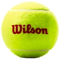Kinder-Tennisbälle Wilson Roland Garros Red (3 St.)