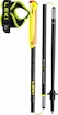Klappstöcke Leki  Evotrail FX One TA 115 cm